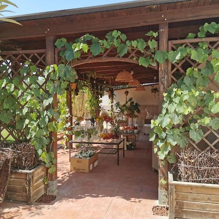 Alma Migrante Bed&Wine Hotel Telese Exterior foto